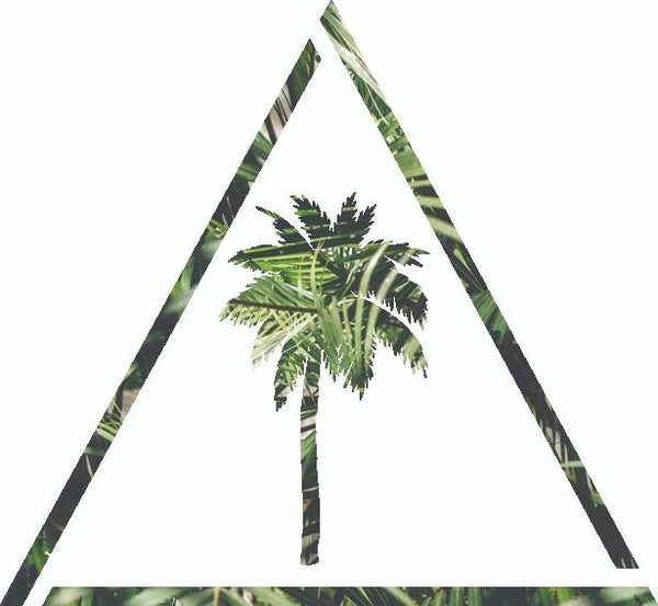 Birkenboards